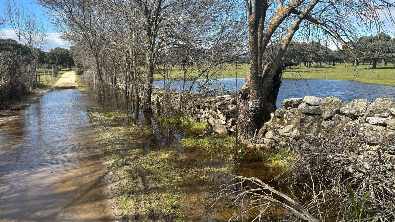 El camino de la Puerta Verde, en Galapagar, parcialmente inundado