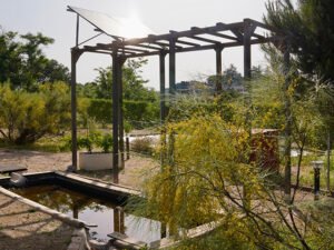 aguas pluviales