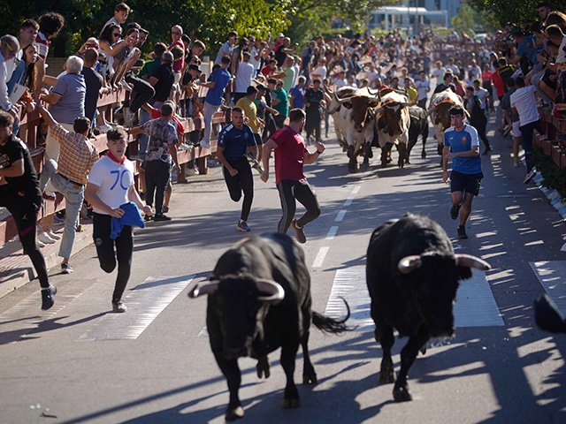 Fiestas