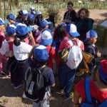 Educación Ambiental
