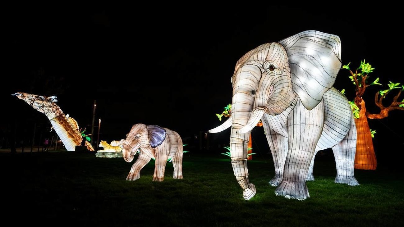 ‘Brilla Zoo’ de Getafe