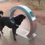 Las Rozas refresca a sus animales con nuevos dispositivos.