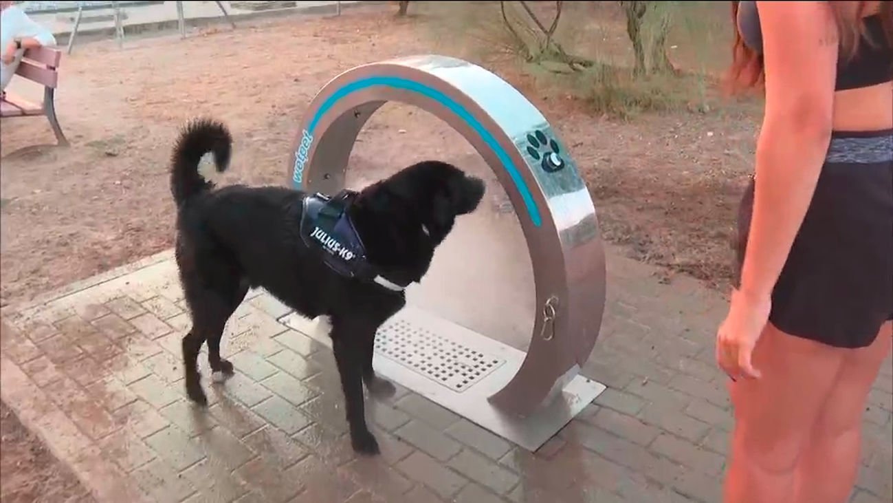 Las Rozas refresca a sus animales con nuevos dispositivos.