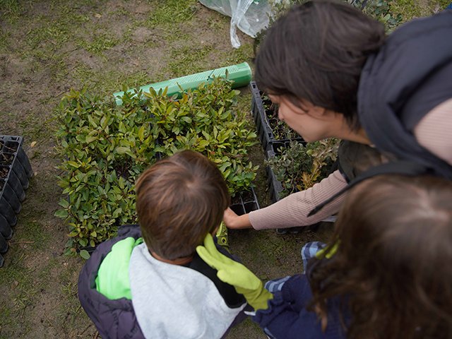 educacion ambiental